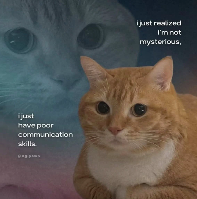 i just have poor communication skills. angiyawn i just realized i'm not mysterious,