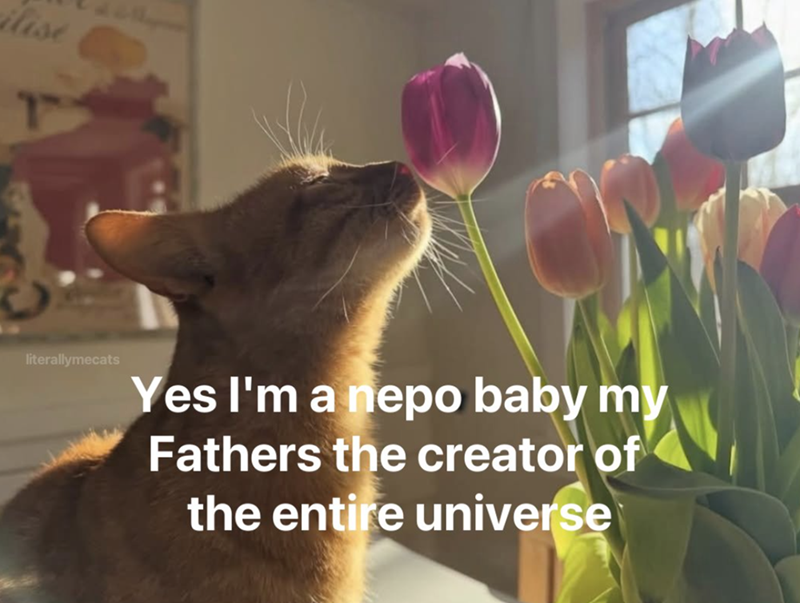 ilise literallymecats Yes I'm a nepo baby my Fathers the creator of the entire universe