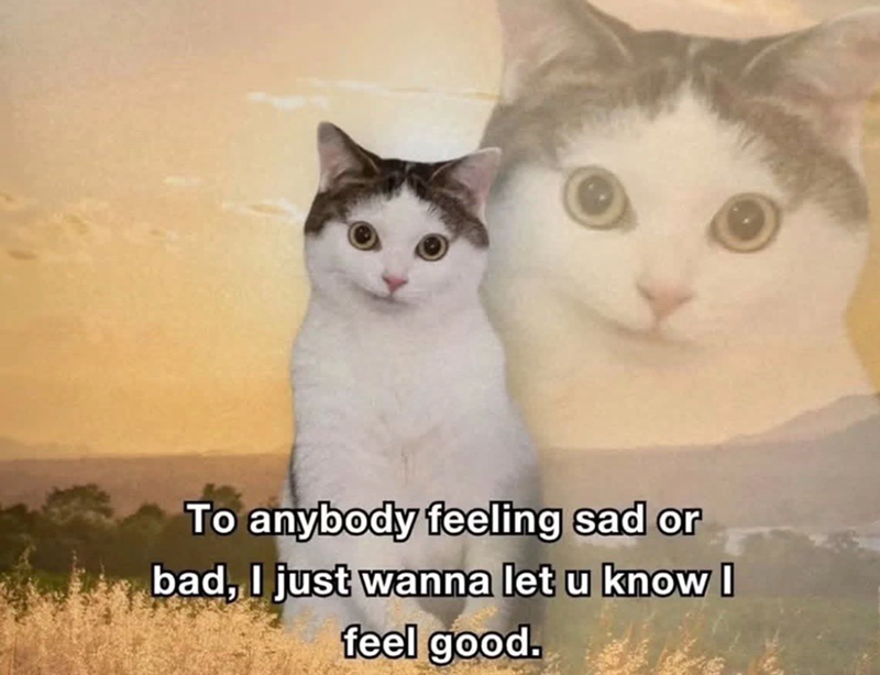 To anybody feeling sad or bad, I just wanna let u know I feel good.