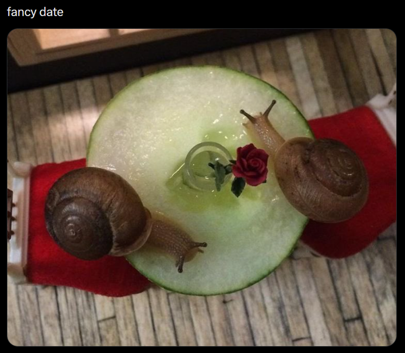 fancy date