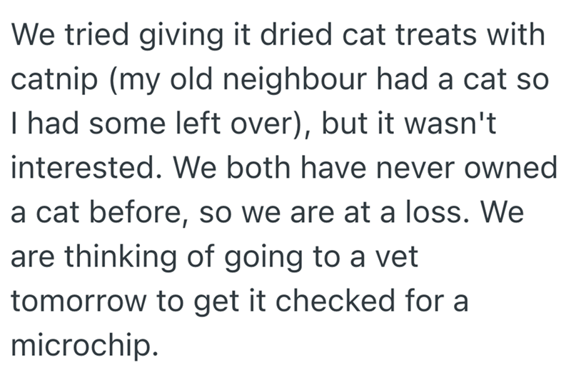 We tried giving it dried cat treats with catnip (my old neighbour had a cat so I had some left over), but it wasn't interested. We both have never owned a cat before, so we are at a loss. We are thinking of going to a vet tomorrow to get it checked for a microchip.