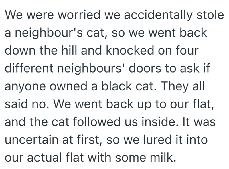 We were worried we accidentally stole a neighbour's cat, so we went back down the hill and knocked on four different neighbours' doors to ask if anyone owned a black cat. They all said no. We went back up to our flat, and the cat followed us inside. It was uncertain at first, so we lured it into our actual flat with some milk.