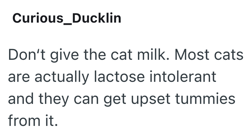Curious_Ducklin Don't give the cat milk. Most cats are actually lactose intolerant and they can get upset tummies from it.