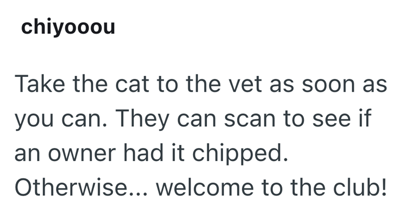 chiyooou Take the cat to the vet as soon as you can. They can scan to see if an owner had it chipped. Otherwise... welcome to the club!