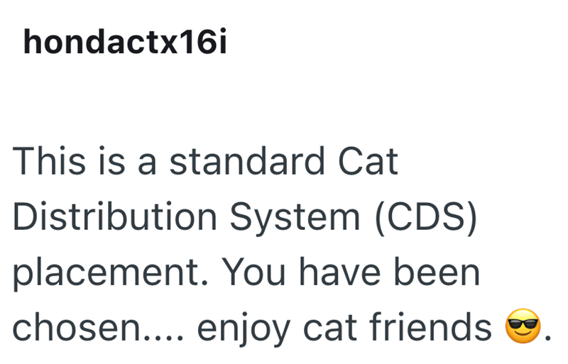 hondactx16i This is a standard Cat Distribution System (CDS) placement. You have been chosen.... enjoy cat friends