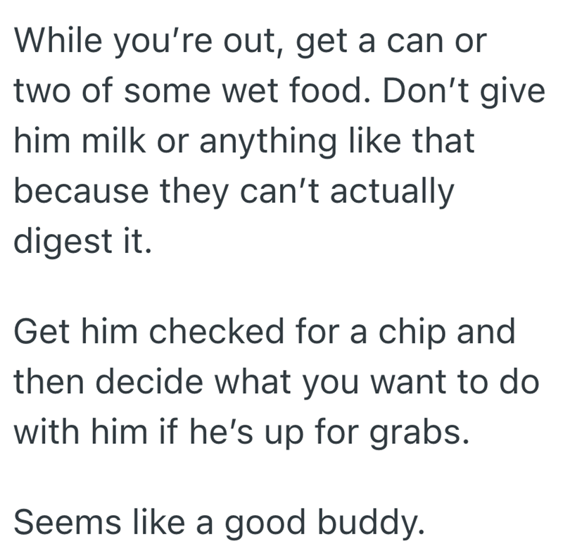 While you're out, get a can or two of some wet food. Don't give him milk or anything like that because they can't actually digest it. Get him checked for a chip and then decide what you want to do with him if he's up for grabs. Seems like a good buddy.