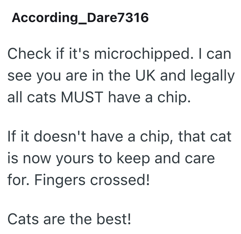 According_Dare7316 Check if it's microchipped. I can see you are in the UK and legally all cats MUST have a chip. If it doesn't have a chip, that cat is now yours to keep and care for. Fingers crossed! Cats are the best!