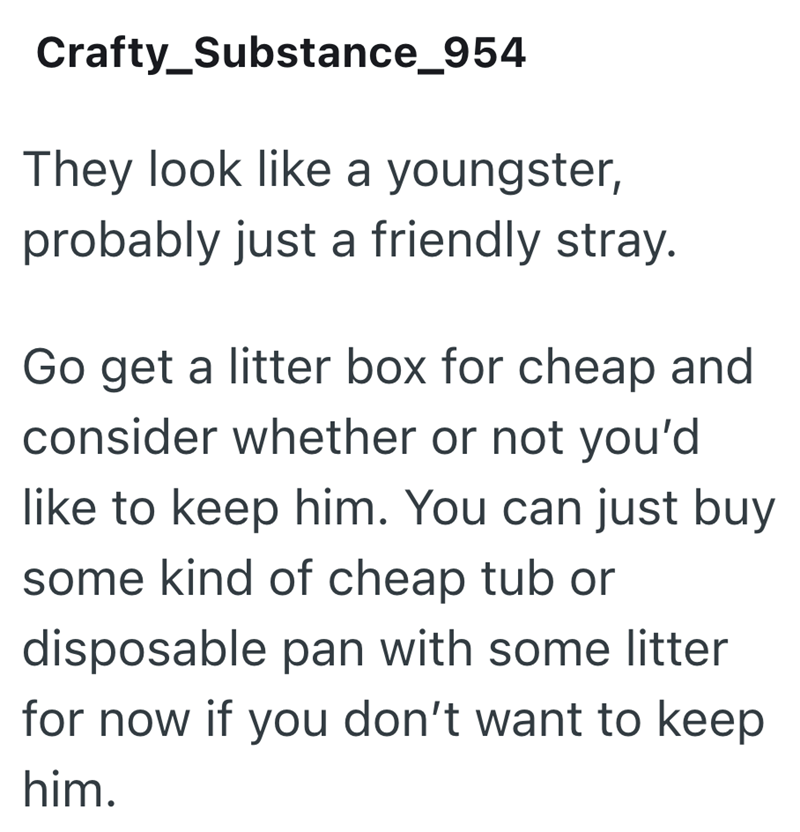 Crafty_Substance_954 They look like a youngster, probably just a friendly stray. Go get a litter box for cheap and consider whether or not you'd like to keep him. You can just buy some kind of cheap tub or disposable pan with some litter for now if you don't want to keep him.