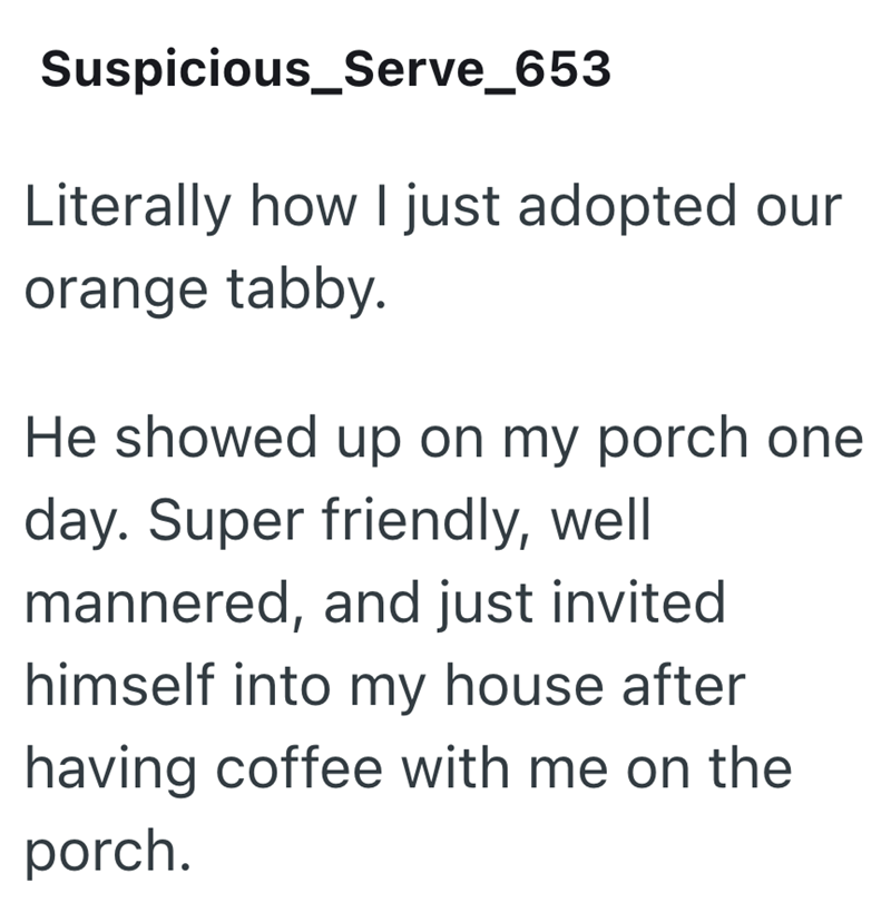 Suspicious_Serve_653 Literally how I just adopted our orange tabby. He showed up on my porch one day. Super friendly, well mannered, and just invited himself into my house after having coffee with me on the porch.