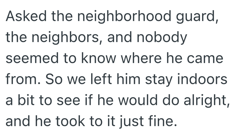 Asked the neighborhood guard, the neighbors, and nobody seemed to know where he came from. So we left him stay indoors a bit to see if he would do alright, and he took to it just fine.