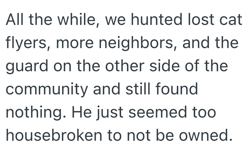 All the while, we hunted lost cat flyers, more neighbors, and the guard on the other side of the community and still found nothing. He just seemed too housebroken to not be owned.