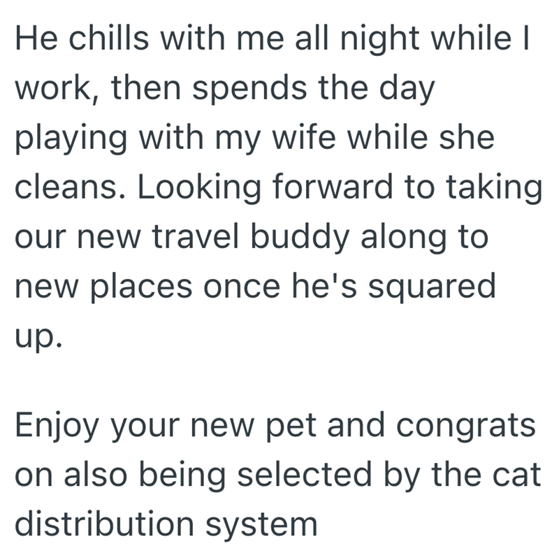 He chills with me all night while I work, then spends the day playing with my wife while she cleans. Looking forward to taking our new travel buddy along to new places once he's squared up. Enjoy your new pet and congrats on also being selected by the cat distribution system