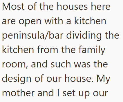 Most of the houses here are open with a kitchen peninsula/bar dividing the kitchen from the family room, and such was the design of our house. My mother and I set up our