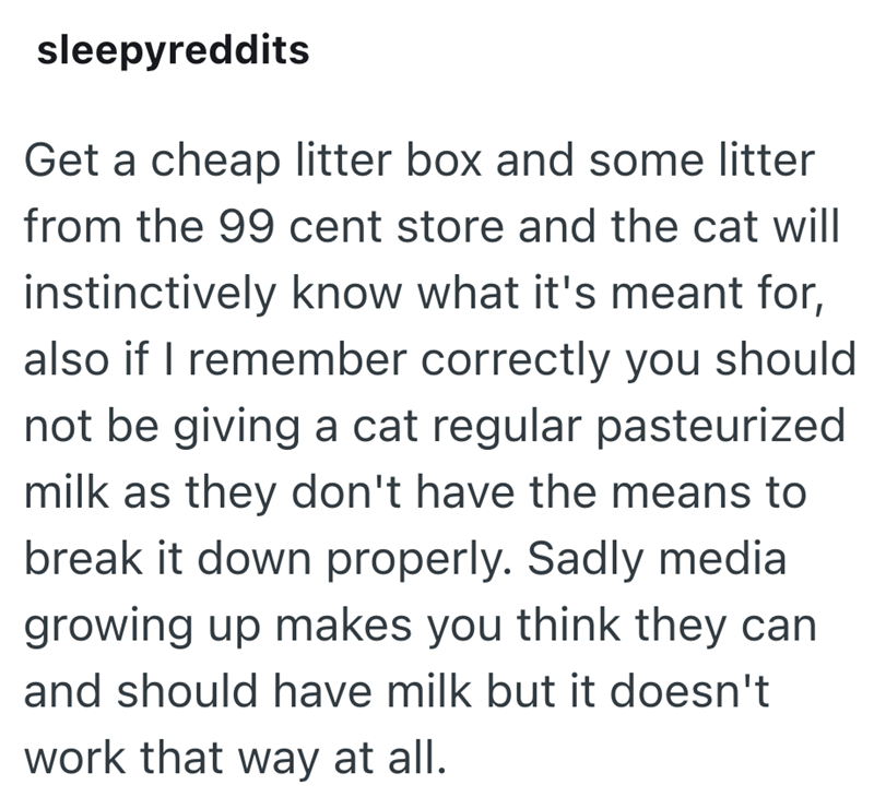 sleepyreddits Get a cheap litter box and some litter from the 99 cent store and the cat will instinctively know what it's meant for, also if I remember correctly you should not be giving a cat regular pasteurized milk as they don't have the means to break it down properly. Sadly media growing up makes you think they can and should have milk but it doesn't work that way at all.