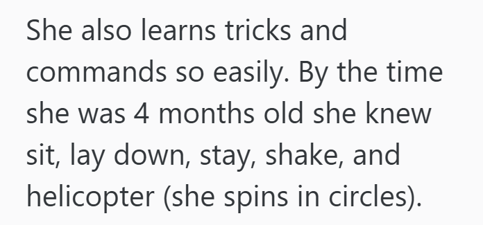 She also learns tricks and commands so easily. By the time she was 4 months old she knew sit, lay down, stay, shake, and helicopter (she spins in circles).