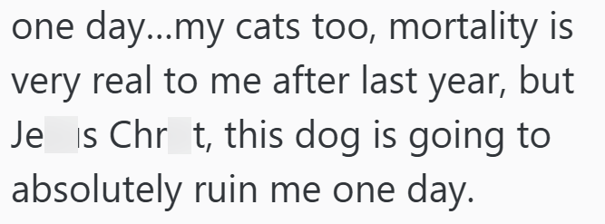 one day...my cats too, mortality is very real to me after last year, but Je is Chr_t, this dog is going to absolutely ruin me one day.