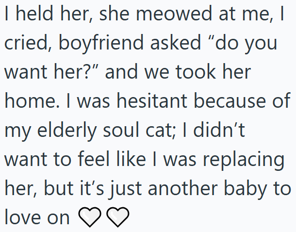 I held her, she meowed at me, I cried, boyfriend asked "do you want her?" and we took her home. I was hesitant because of my elderly soul cat; I didn't want to feel like I was replacing her, but it's just another baby to love on