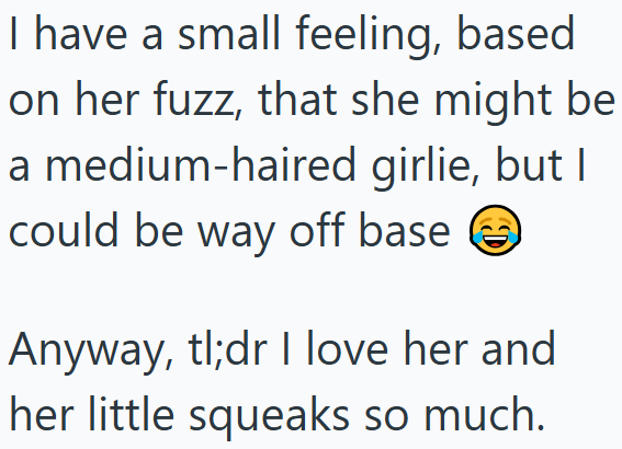 I have a small feeling, based on her fuzz, that she might be a medium-haired girlie, but I could be way off base ② Anyway, tl;dr I love her and her little squeaks so much.