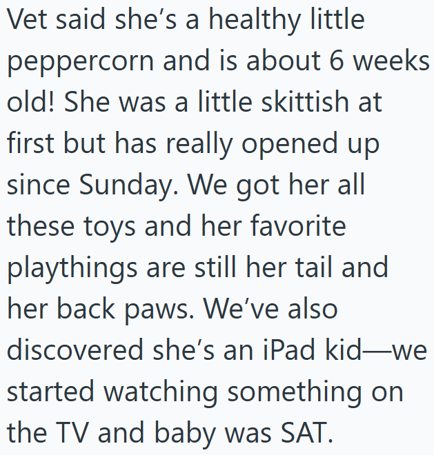 Vet said she's a healthy little peppercorn and is about 6 weeks old! She was a little skittish at first but has really opened up since Sunday. We got her all these toys and her favorite playthings are still her tail and her back paws. We've also discovered she's an iPad kid-we started watching something on the TV and baby was SAT.