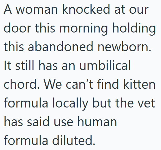 A woman knocked at our door this morning holding this abandoned newborn. It still has an umbilical chord. We can't find kitten formula locally but the vet has said use human formula diluted.