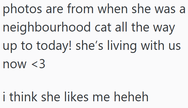 photos are from when she was a neighbourhood cat all the way up to today! she's living with us now <3 i think she likes me heheh