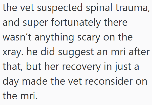 the vet suspected spinal trauma, and super fortunately there wasn't anything scary on the xray. he did suggest an mri after that, but her recovery in just a day made the vet reconsider on the mri.