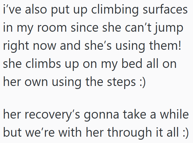 i've also put up climbing surfaces in my room since she can't jump right now and she's using them! she climbs up on my bed all on her own using the steps :) her recovery's gonna take a while but we're with her through it all :)