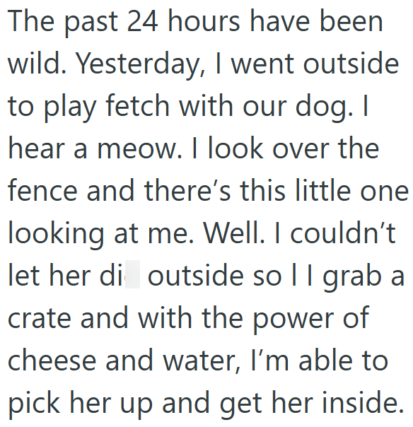 The past 24 hours have been wild. Yesterday, I went outside to play fetch with our dog. I hear a meow. I look over the fence and there's this little one looking at me. Well. I couldn't let her di outside so II grab a crate and with the power of cheese and water, I'm able to pick her up and get her inside.