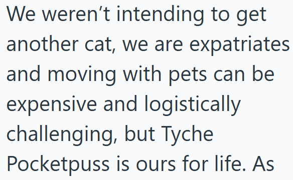 We weren't intending to get another cat, we are expatriates and moving with pets can be expensive and logistically challenging, but Tyche Pocketpuss is ours for life. As