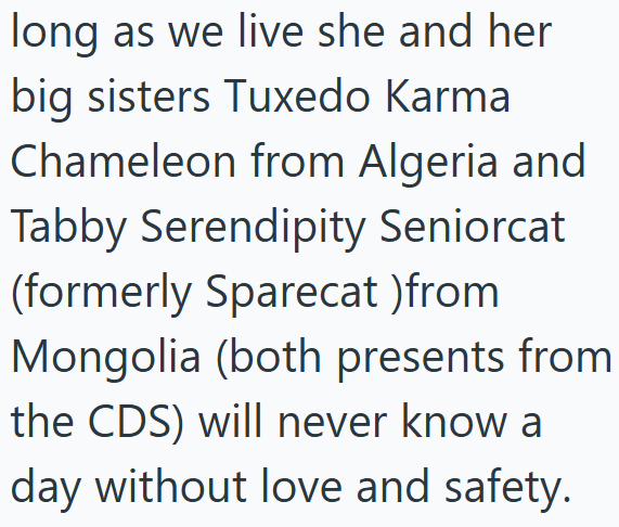 long as we live she and her big sisters Tuxedo Karma Chameleon from Algeria and Tabby Serendipity Seniorcat (formerly Sparecat)from Mongolia (both presents from the CDS) will never know a day without love and safety.