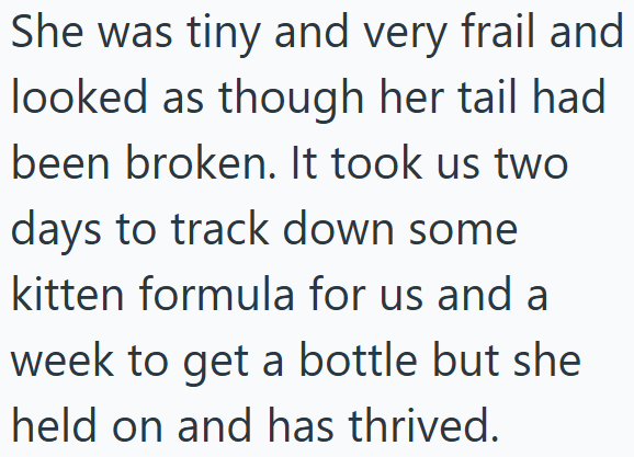 She was tiny and very frail and looked as though her tail had been broken. It took us two days to track down some kitten formula for us and a week to get a bottle but she held on and has thrived.