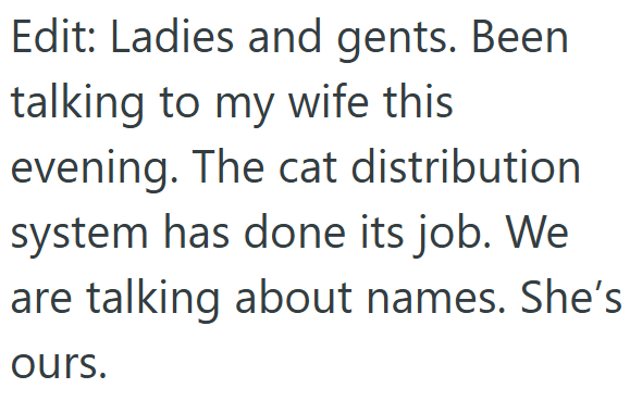 Edit: Ladies and gents. Been. talking to my wife this evening. The cat distribution system has done its job. We are talking about names. She's ours.