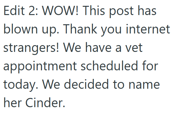 Edit 2: WOW! This post has blown up. Thank you internet strangers! We have a vet appointment scheduled for today. We decided to name her Cinder.