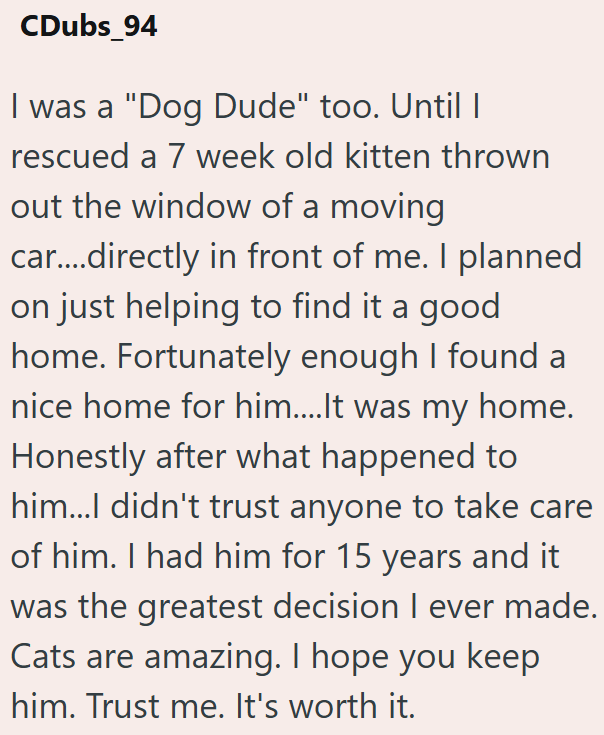 CDubs_94 I was a "Dog Dude" too. Until I rescued a 7 week old kitten thrown out the window of a moving car....directly in front of me. I planned on just helping to find it a good home. Fortunately enough I found a nice home for him....It was my home. Honestly after what happened to him...I didn't trust anyone to take care of him. I had him for 15 years and it was the greatest decision I ever made. Cats are amazing. I hope you keep him. Trust me. It's worth it.