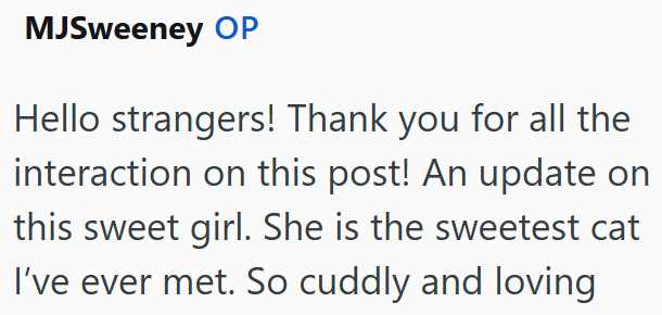 MJSweeney OP Hello strangers! Thank you for all the interaction on this post! An update on this sweet girl. She is the sweetest cat I've ever met. So cuddly and loving