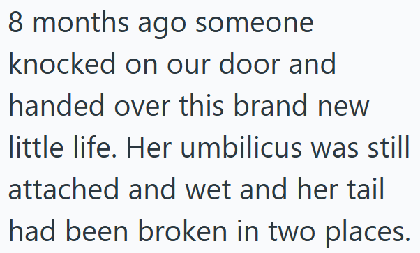 8 months ago someone knocked on our door and handed over this brand new little life. Her umbilicus was still attached and wet and her tail had been broken in two places.
