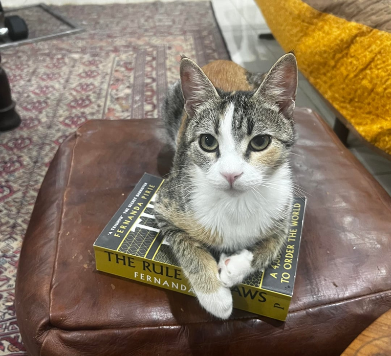 A TRIUMPH THE SECRET BARRISTER FERNANDA PIRIE THE RULE FERNANDA AW A 4,00 TO ORDER THE WORLD