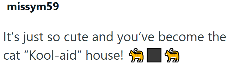 missym59 It's just so cute and you've become the cat "Kool-aid" house!