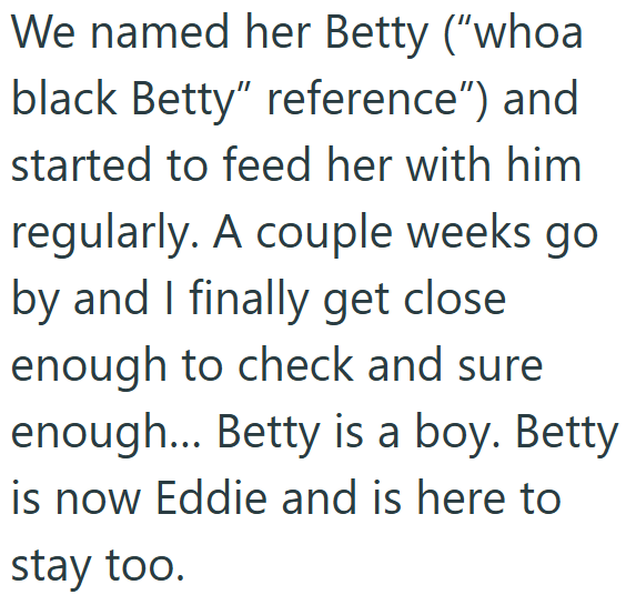 We named her Betty ("whoa black Betty" reference") and started to feed her with him regularly. A couple weeks go by and I finally get close enough to check and sure enough... Betty is a boy. Betty is now Eddie and is here to stay too.