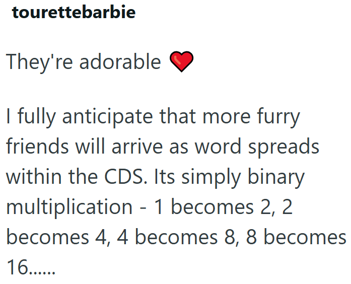 tourettebarbie They're adorable I fully anticipate that more furry friends will arrive as word spreads within the CDS. Its simply binary multiplication - 1 becomes 2, 2 becomes 4, 4 becomes 8, 8 becomes 16......