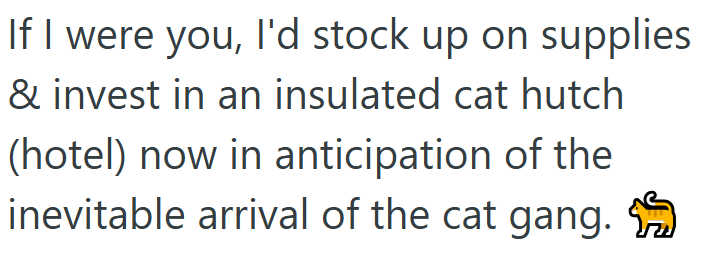 If I were you, I'd stock up on supplies & invest in an insulated cat hutch (hotel) now in anticipation of the inevitable arrival of the cat gang.