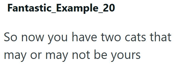 Fantastic Example_20 So now you have two cats that may or may not be yours