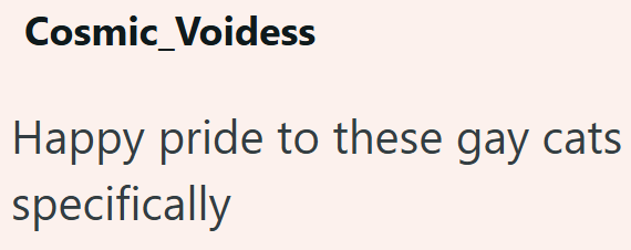 Cosmic Voidess Happy pride to these gay cats specifically