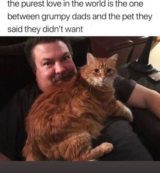 the purest love in the world is the one between grumpy dads and the pet they said they didn't want