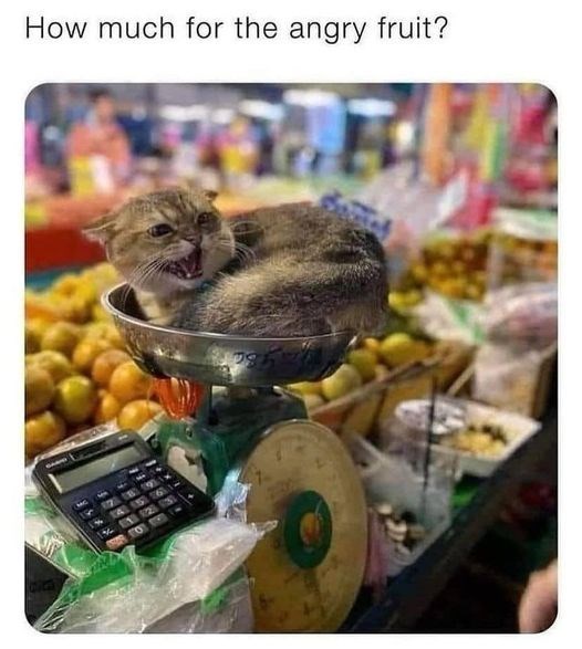 How much for the angry fruit? 118884