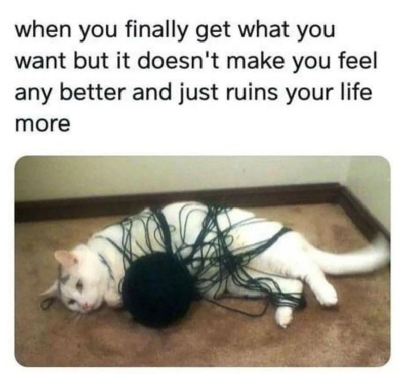 when you finally get what you want but it doesn't make you feel any better and just ruins your life more