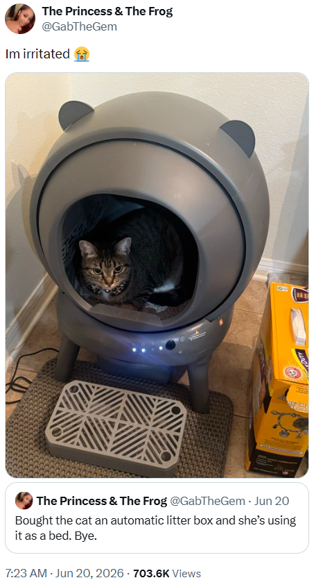 The Princess & The Frog @GabTheGem Im irritated The Princess & The Frog @GabTheGem. Jun 20 Bought the cat an automatic litter box and she's using it as a bed. Bye. 7:23 AM - Jun 20, 2026 - 703.6K Views