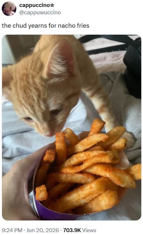 cappuccino☆ @cappuwuccino the chud yearns for nacho fries 9:24 PM ⚫ Jun 20, 2026 703.9K Views .