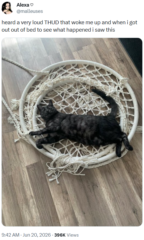 Alexa @malleuses heard a very loud THUD that woke me up and when i got out out of bed to see what happened i saw this 9:42 AM - Jun 20, 2026 - 396K Views