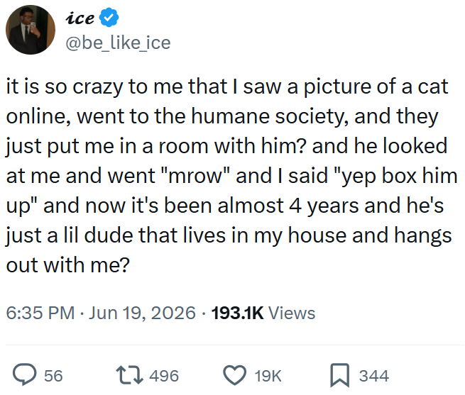 ice @be_like_ice it is so crazy to me that I saw a picture of a cat online, went to the humane society, and they just put me in a room with him? and he looked at me and went "mrow" and I said "yep box him up" and now it's been almost 4 years and he's just a lil dude that lives in my house and hangs out with me? • 6:35 PM ⚫ Jun 19, 2026 · 193.1K Views 56 17496 19K ☐ 344
